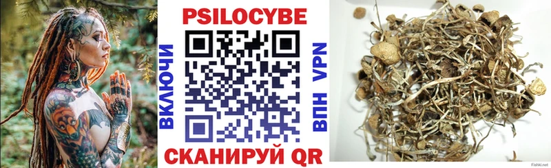 Галлюциногенные грибы Psilocybine cubensis  купить закладку  Белокуриха 